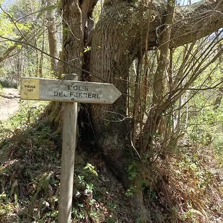 Casa Fidel 度假居